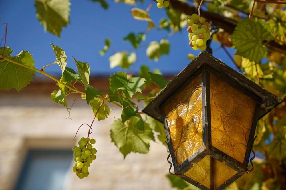 Chateau Du Raysse Villa Cazoules Dış mekan fotoğraf